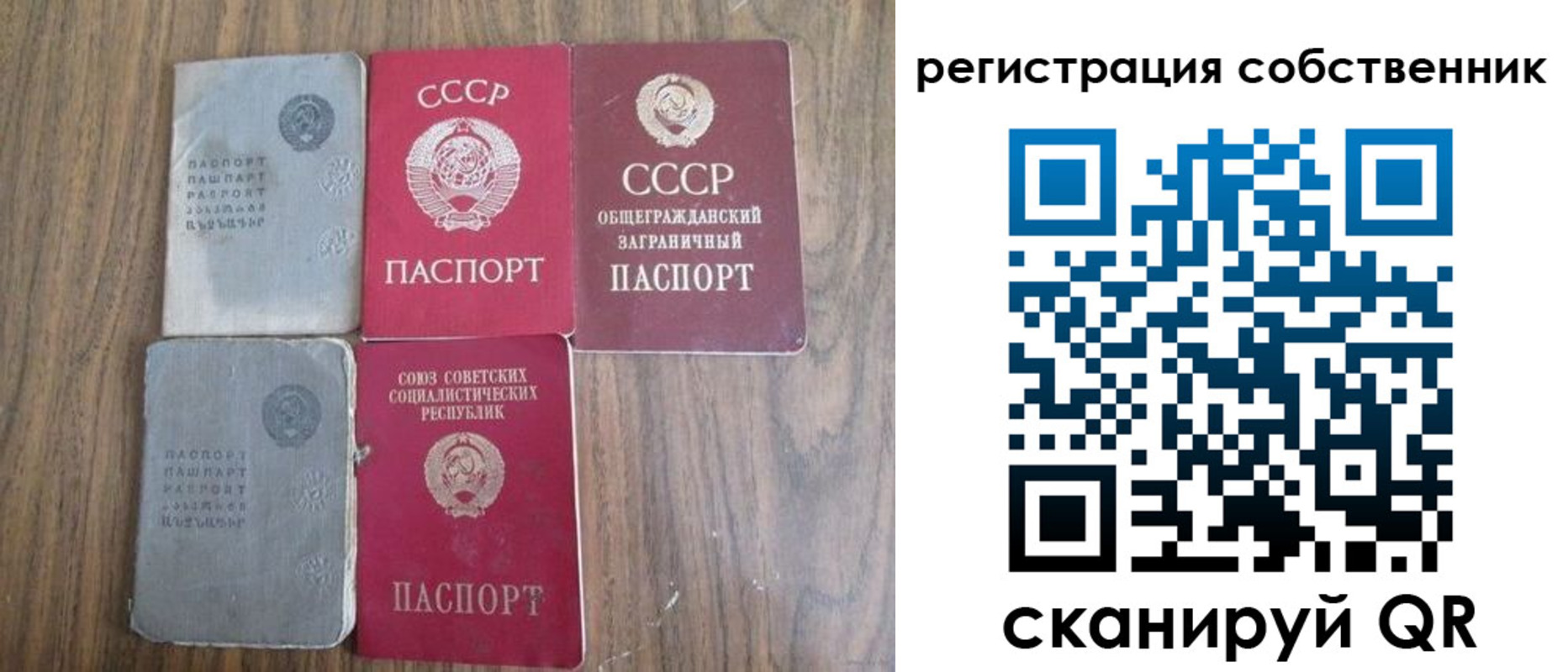 прописка ребенка в Сольцах