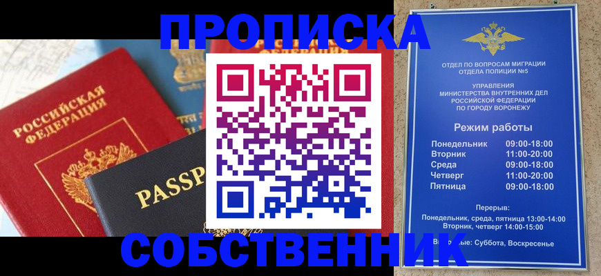 прописка гарантия в Сольцах